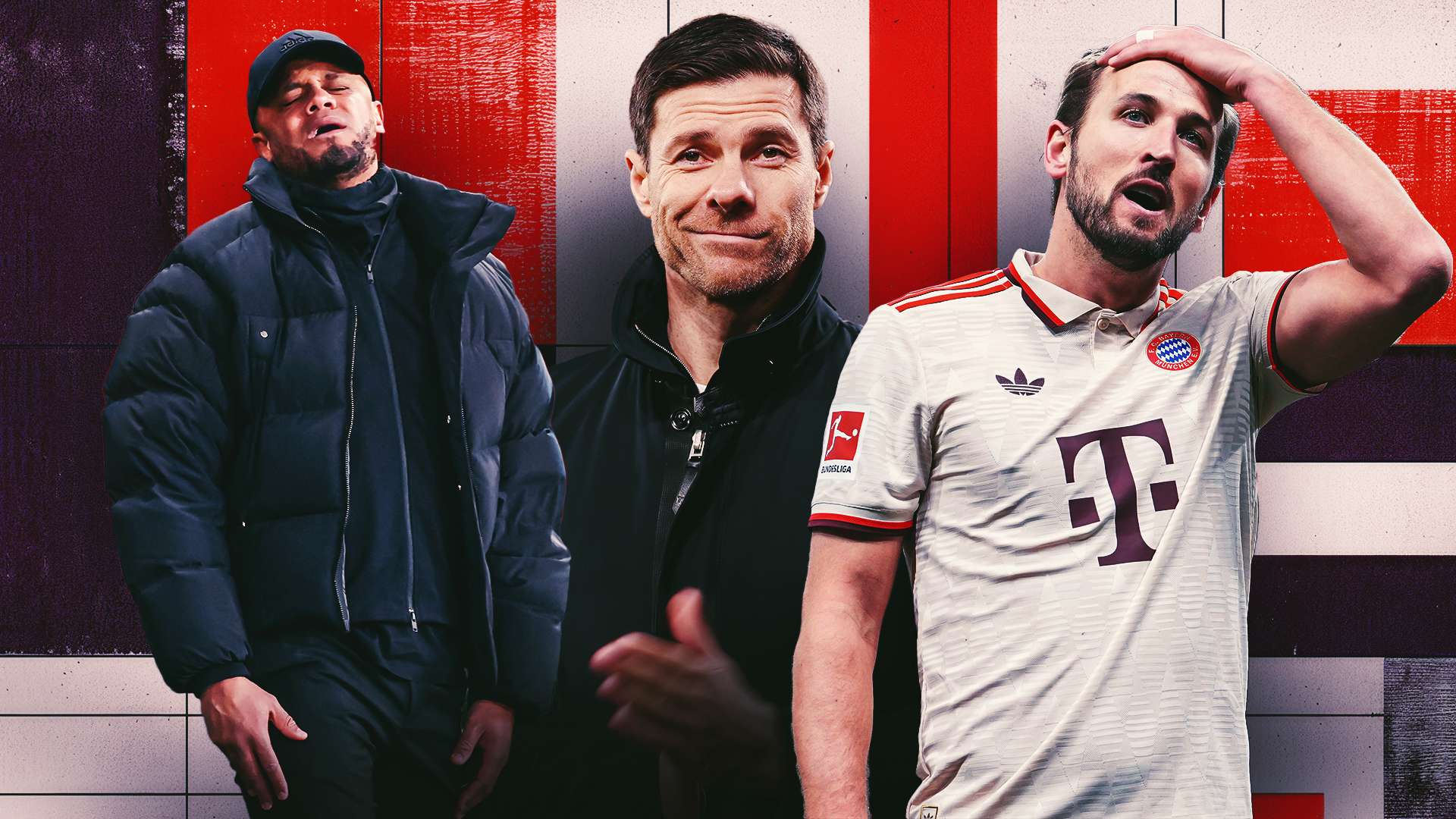 布魯諾已經 布魯諾已經